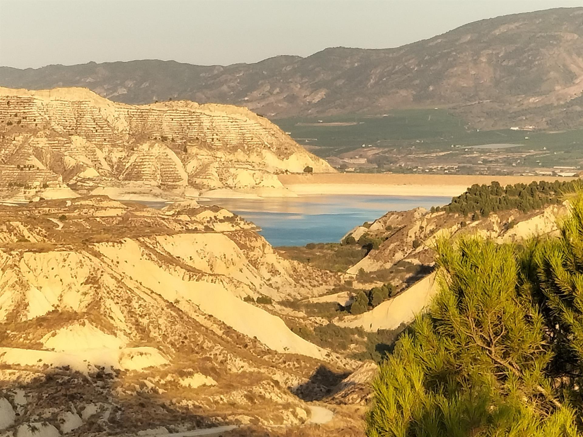 Archivo - Imagen de un embalse de la cuenca del Segura.