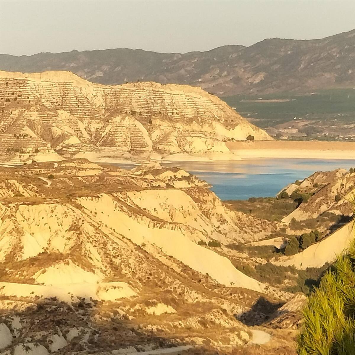 Mario Urrea: “Las lluvias han sido positivas, pero no salvan al regadío tradicional del Segura”