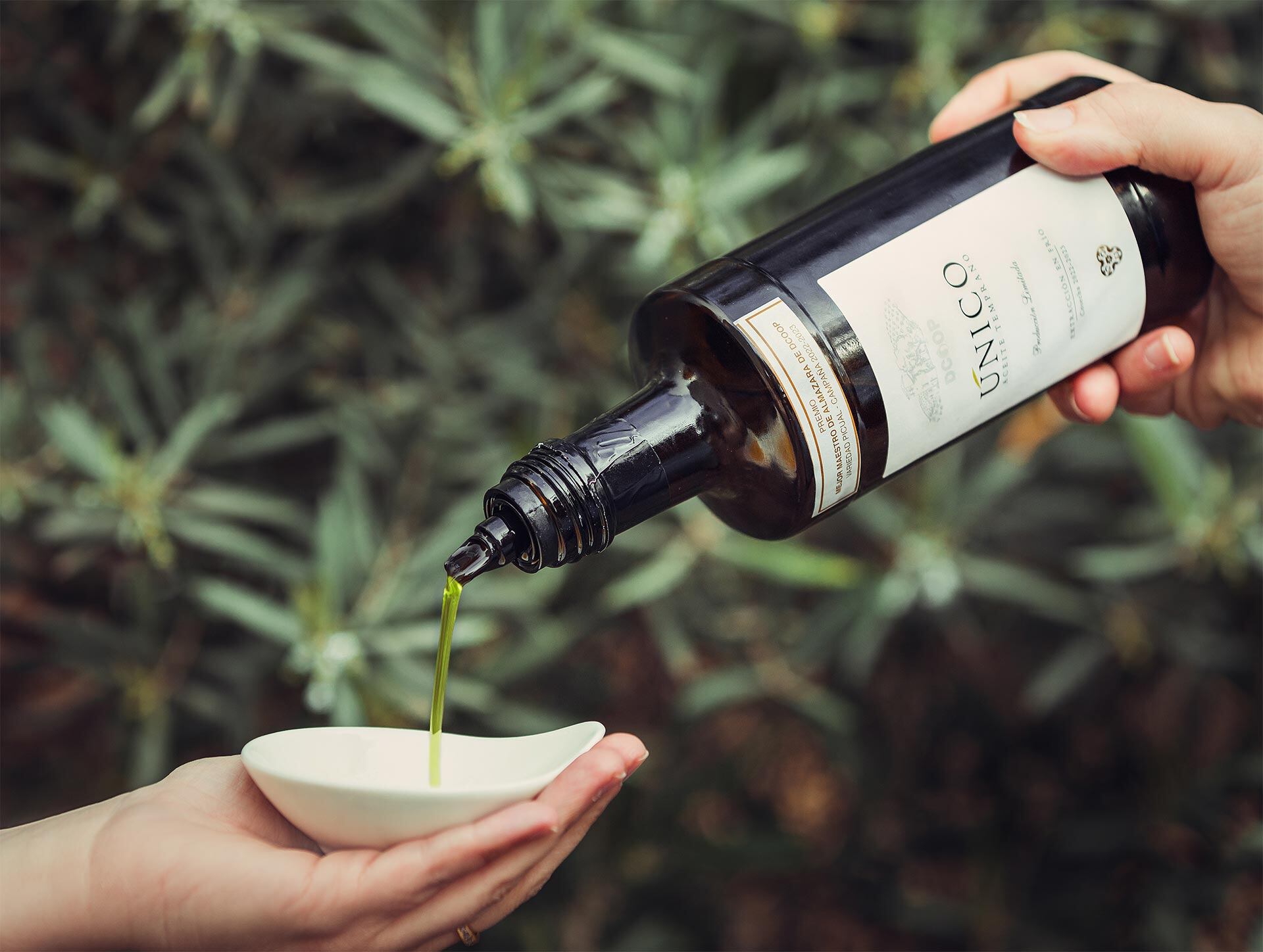 Cooperativa La Unión de Úbeda