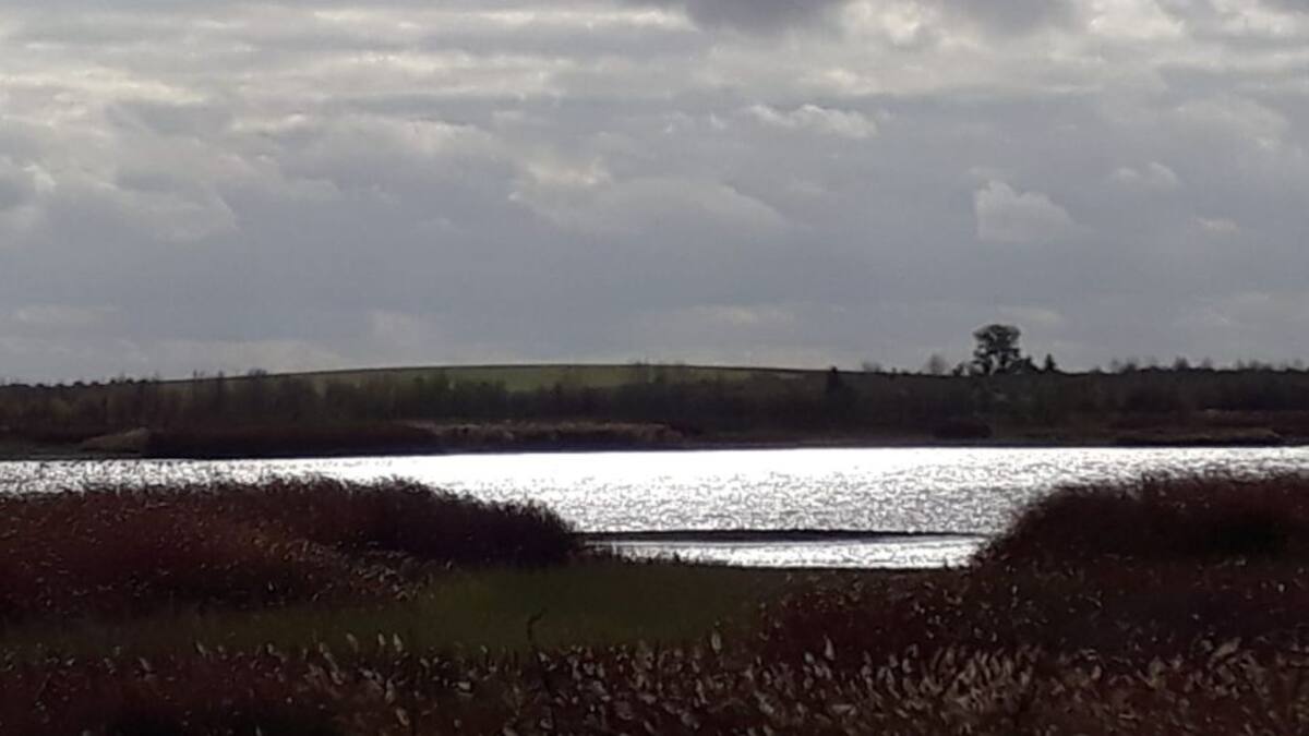 La CHG prepara el regimen de extracciones para 2019