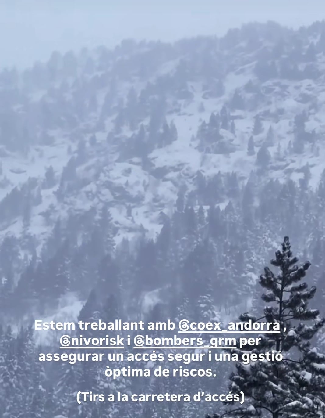 Tirs preventius d'allaus a l'estació d'Arcalís publicats per la pròpia estació a les seves xarxes socials