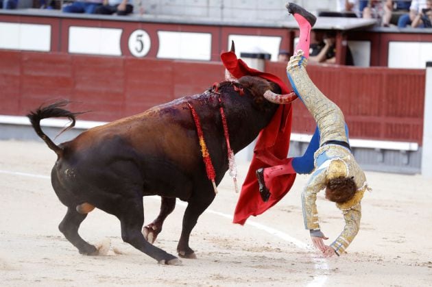 El diestro Román Collado cogido por el primero de su lote durante su faena con la muleta en la corrida celebrada esta tarde en la plaza de toros de Las Ventas, compartiendo cartel con Pepe Moral y Curro Díaz, lidiando reses de Baltasar Ibán