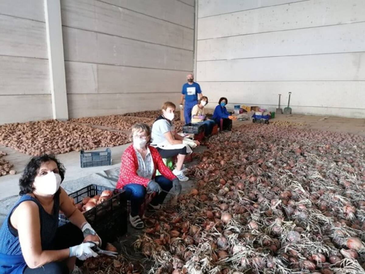 El proyecto Huertas Amigas se adapta a la pandemia (03/11/2020)