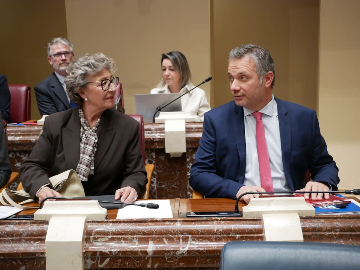 El PP retira su moción sobre la línea Cartagena-Chinchilla y Consumur celebra que la sustituya por una declaración institucional