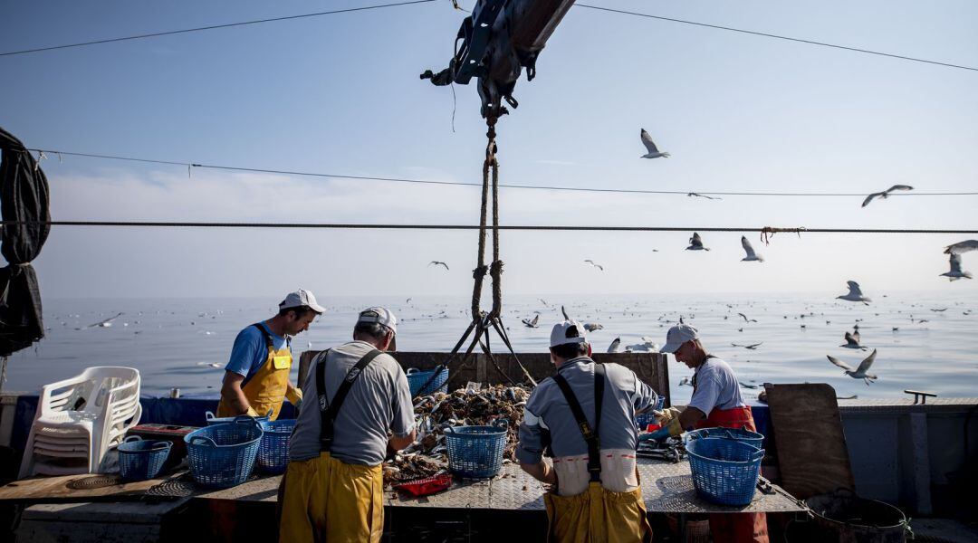 Pescadores realizando labores de separado