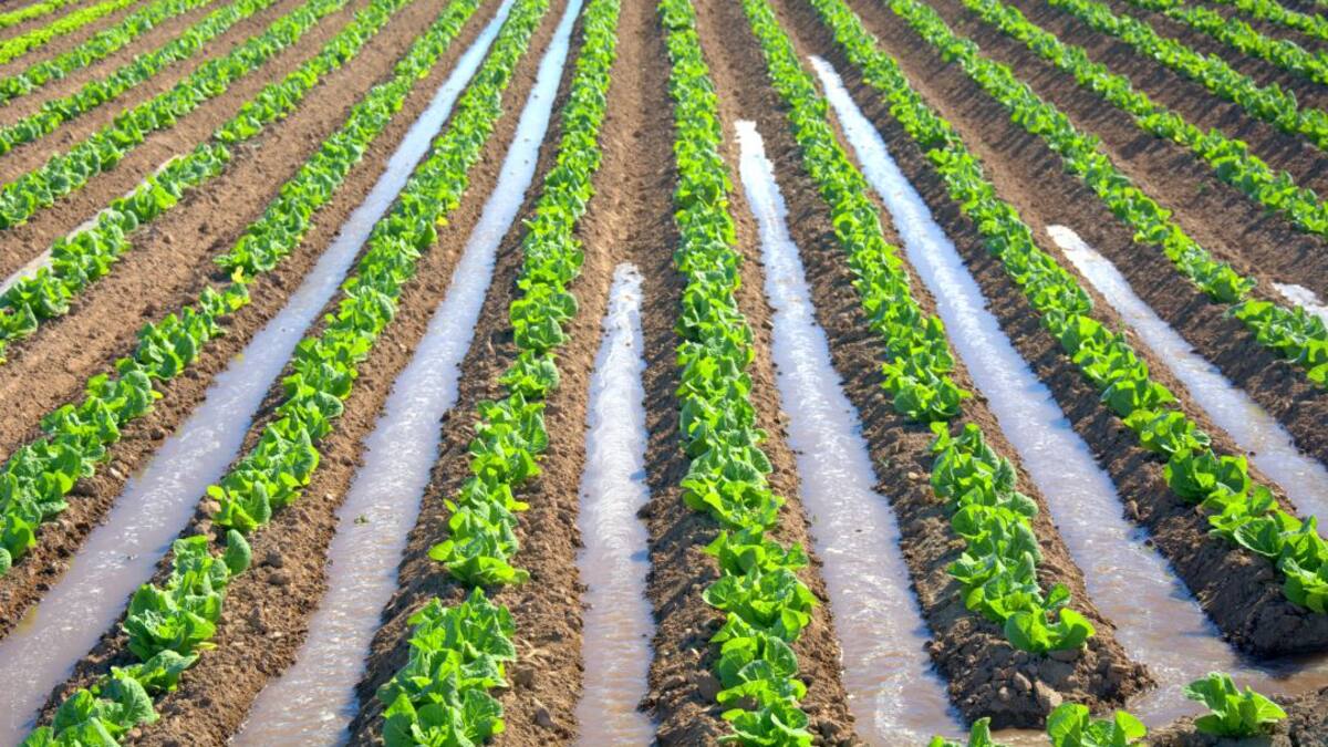 Las cooperativas, contra la obligación de destinar un 20% de su presupuesto a medio ambiente