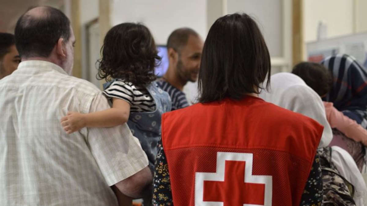 ENTREVISTA LUÍS CIGES