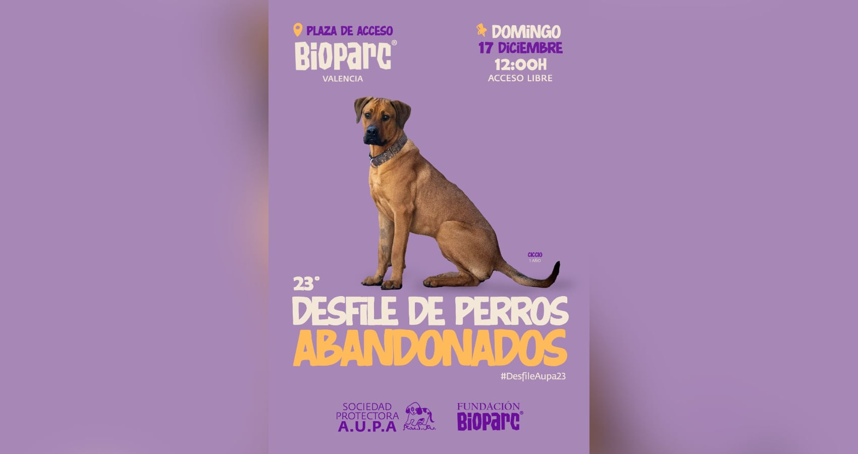 23 Desfile de perros abandonados Bioparc Valencia