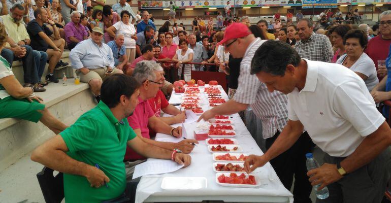 Concurso de Hortalizas, con los mejores tomates