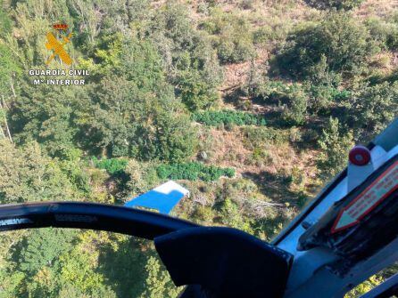 La plantación de Molinaseca vista desde el helicóptero