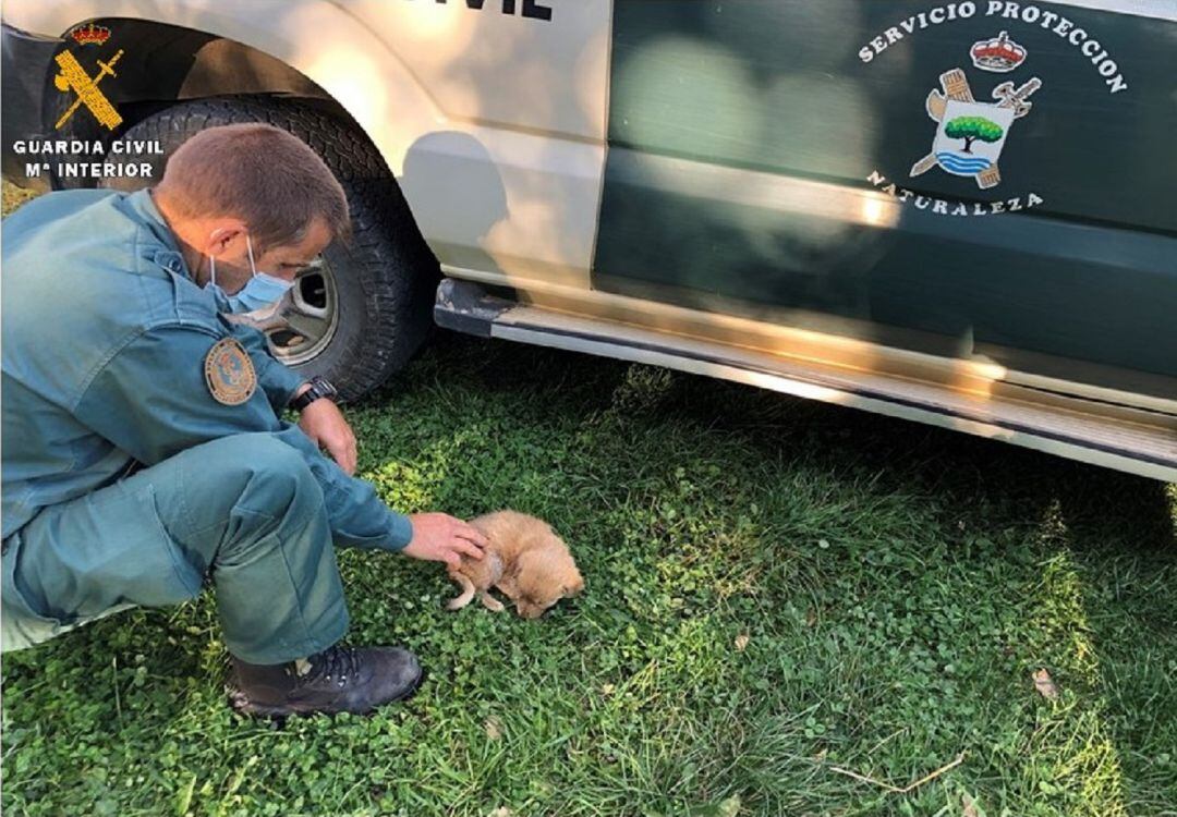 La Guardia Civil investiga a una persona por un supuesto delito de abandono de animales domésticos