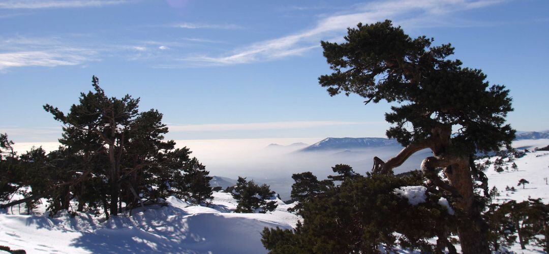 Parque Nacional Sierra de Guadarrama