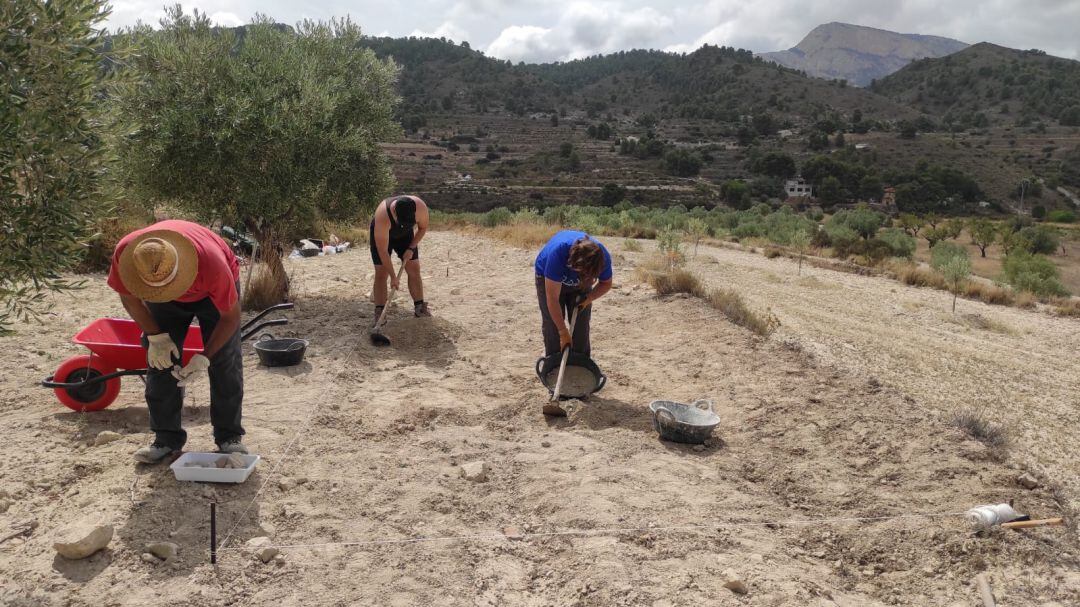 Sondeos arqueológicos en la alquería de Puça de Petrer