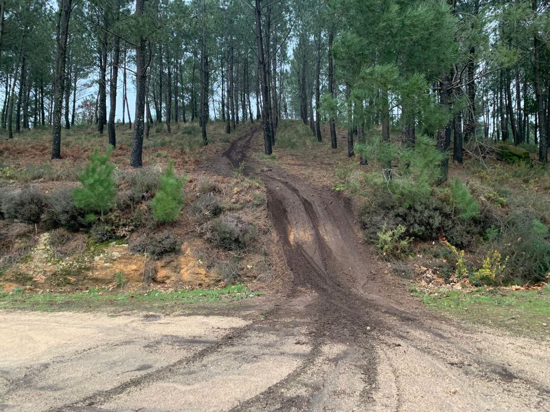 Consecuencias del paso de quads y vehículos todoterreno por pistas forestales de los montes de O Porriño, Ponteareas y Salceda.