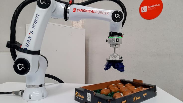 Rafael Riestra, dtor comercial 'Canonical Robots'