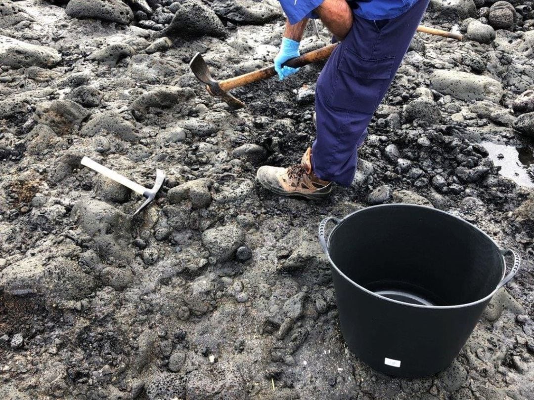 Labores de limpieza en el Mapaís de Güímar