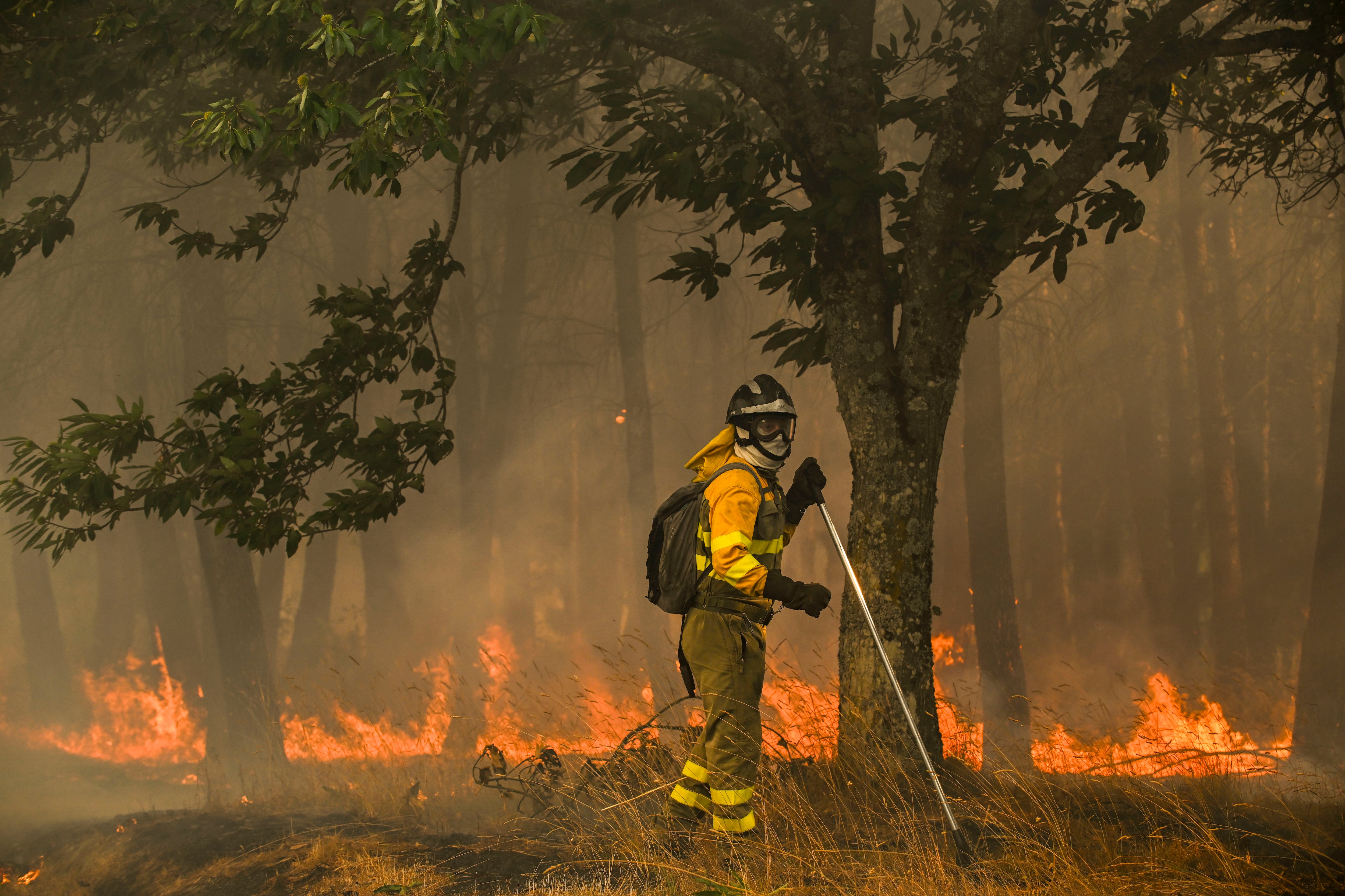 A GUDIÑA, 20/08/2025.- Un bombero forestal realiza labores de extinción en el nuevo incendio declarado este miércoles en A Gudiña (Ourense). EFE/Brais Lorenzo