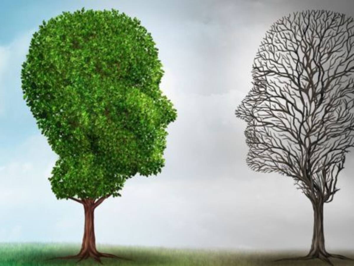 El Colegio de Psicología de CyL organiza en Astudillo unas jornadas para abordar la salud mental en el medio rural