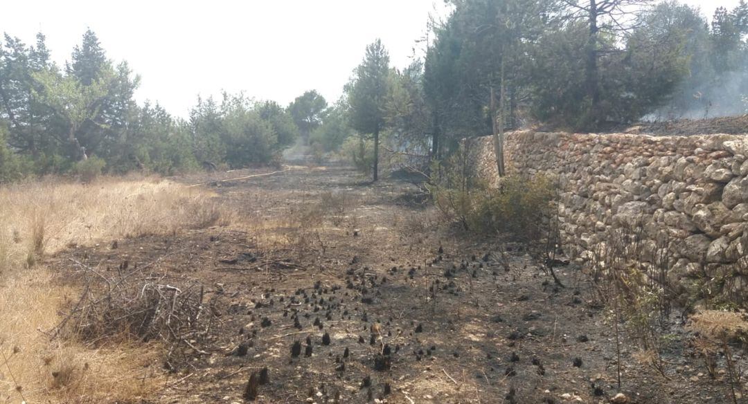 Imagen de la zona afectada por el incendio en Sant Carles