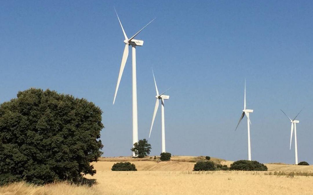 El gobierno regional defiende su apuesta por las energías renovables