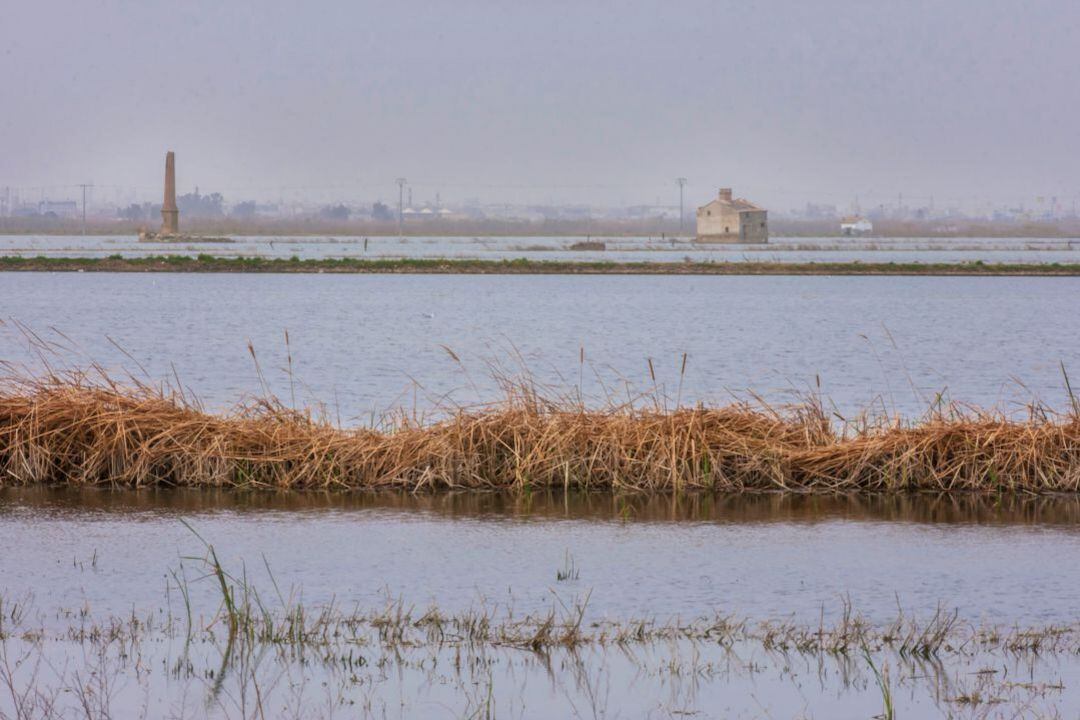 Lago de la Albufera de València