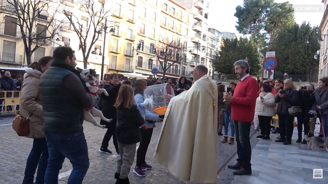 Imagen de archivo de la bendición de animales celebrada en Alcoy en enero de 2020.