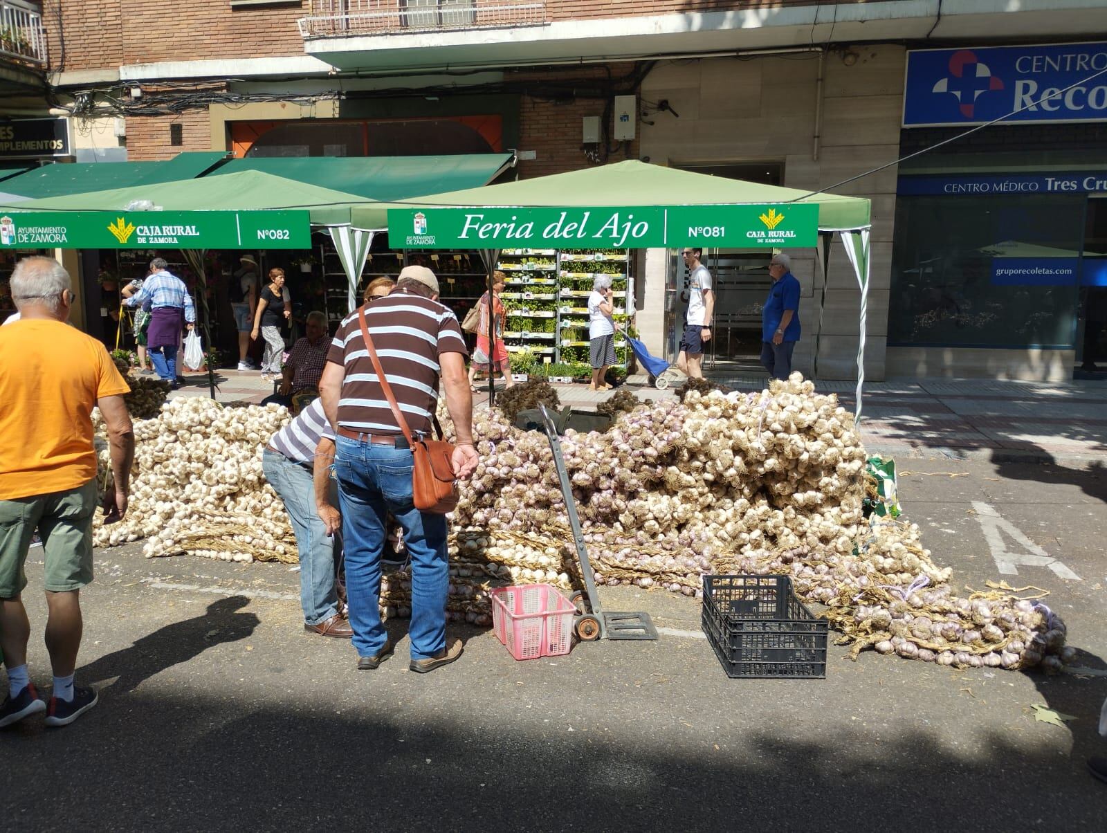 Feria del Ajo de Zamora