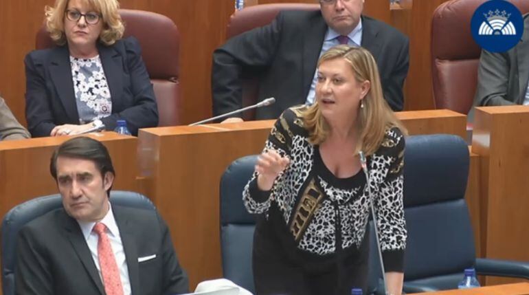 La consejera Del Olmo en su intervención