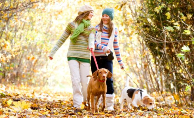 Dos chicas pasean a sus perros un día de otoño