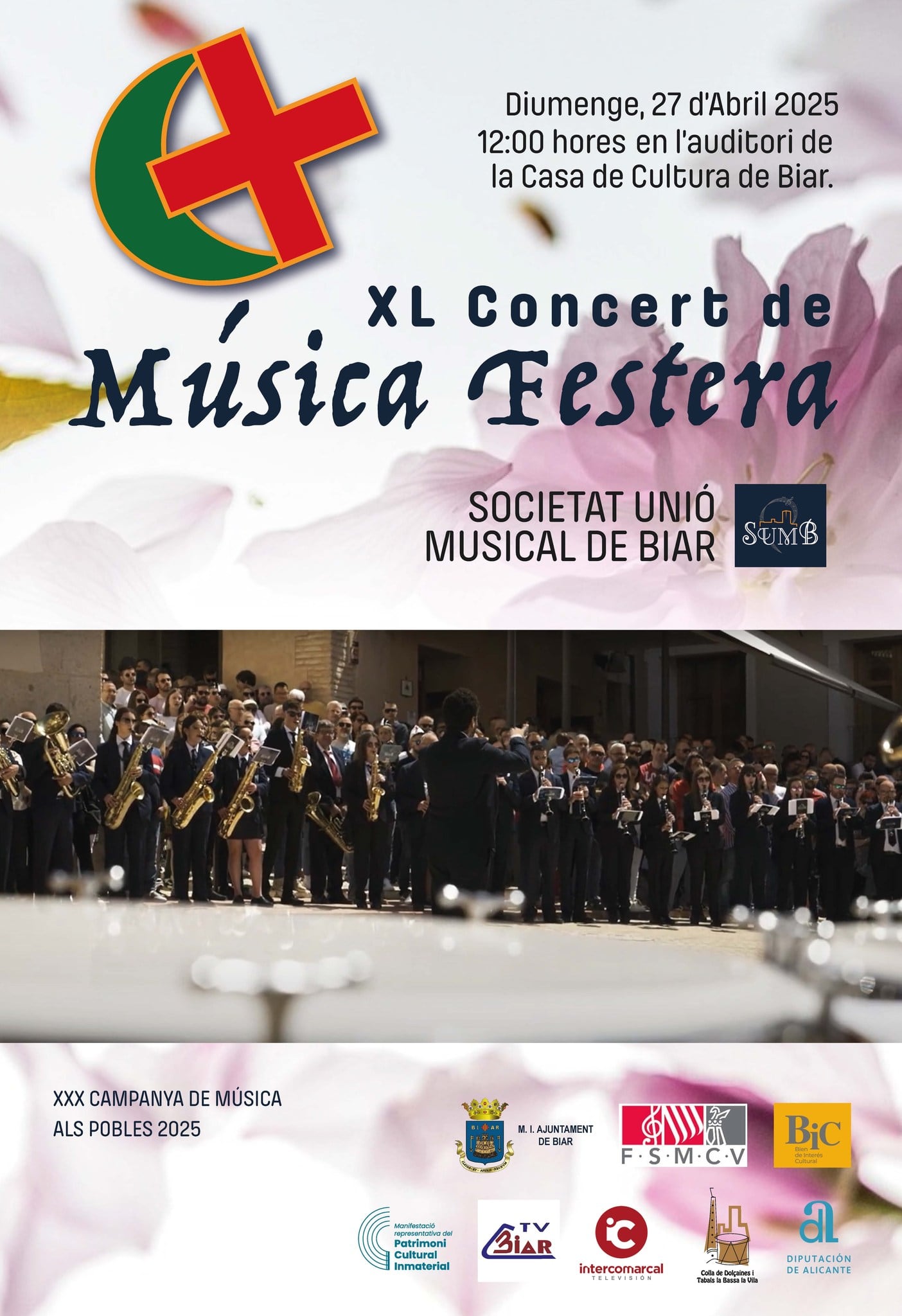 Cartel del concierto