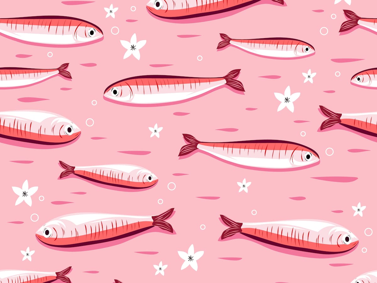 Los investigadores capturan a una criatura marina a miles de metros de profundidad: es una nueva especie