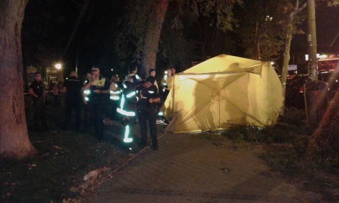Muere un hombre en Madrid al caerle encima la rama de un árbol