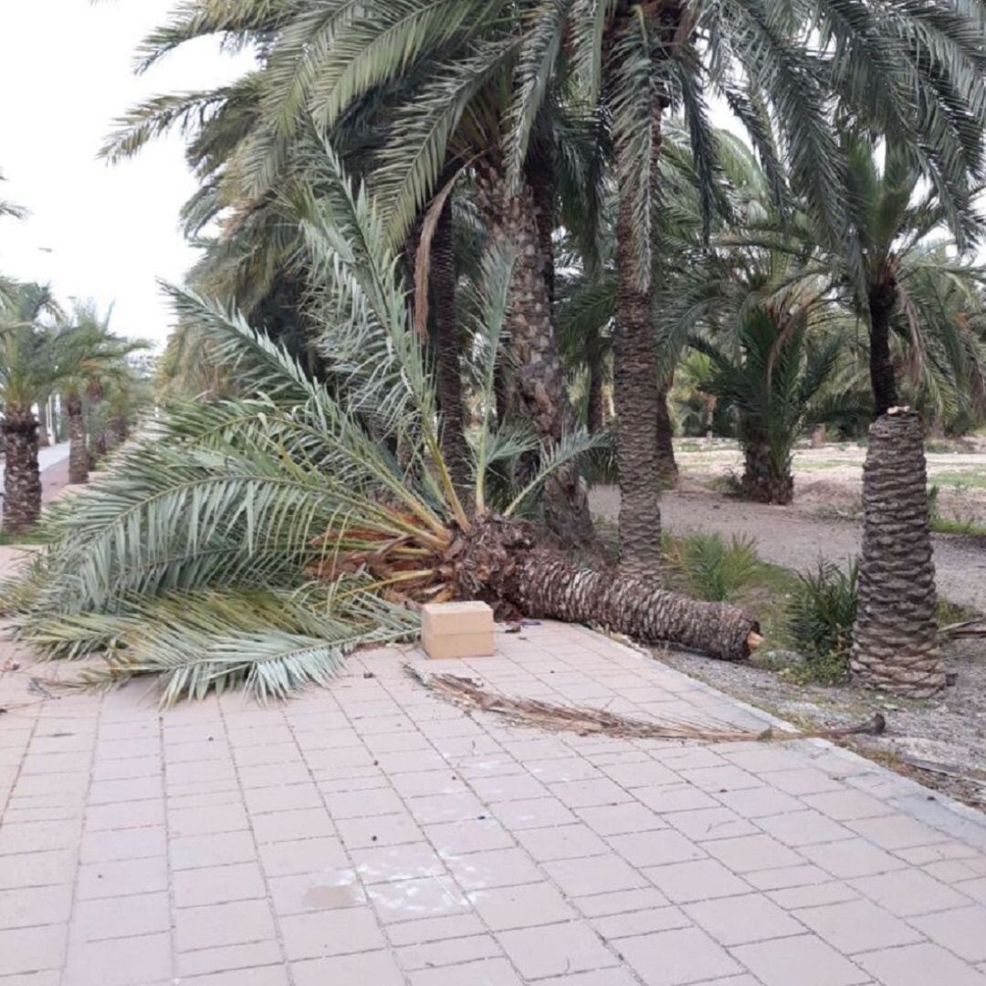 Viento (Imagen de archivo)