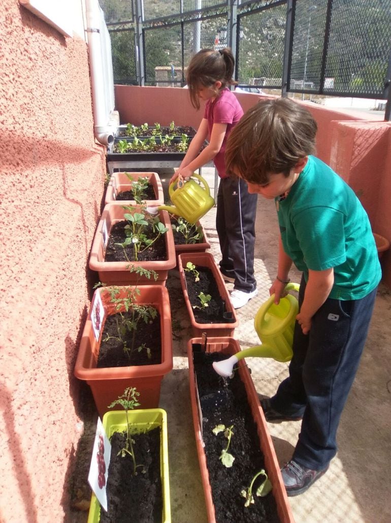 CEIP de Benigembla. II Jornadas Escuelas Rurales.