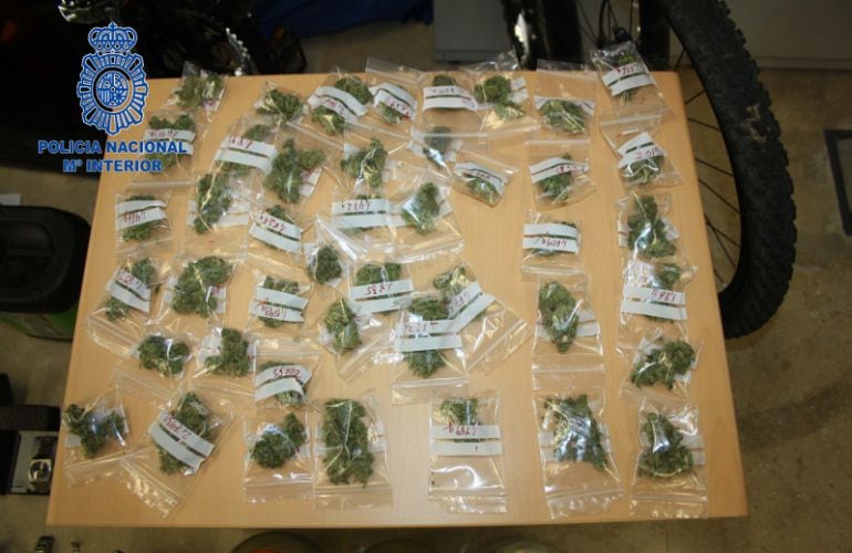 Parte de la marihuana intervenida en Plasencia