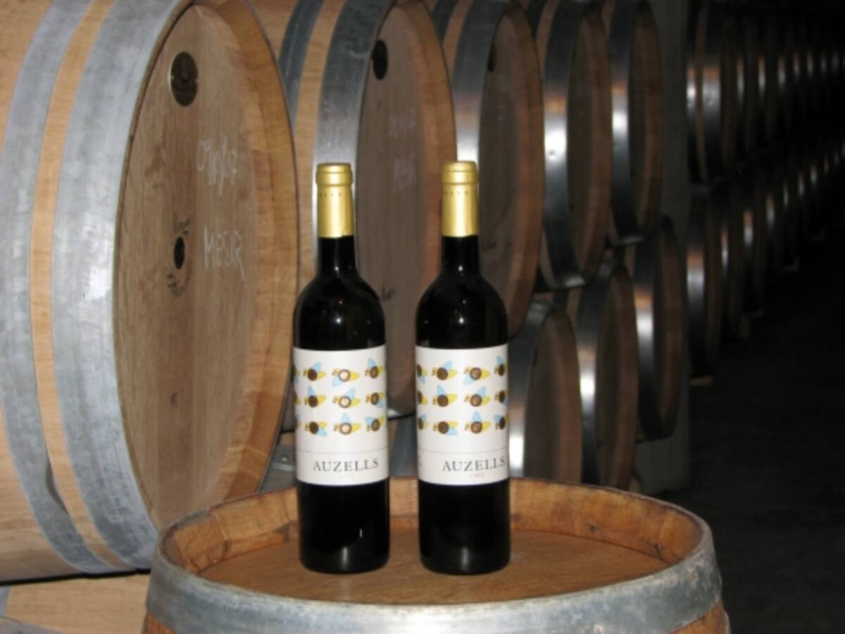 31 països de tot el món consumeixen vins de Costers del Segre