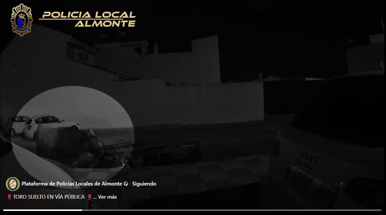 Toro suelto por las calles de Almonte (Plataforma de Policías Locales de Almonte)