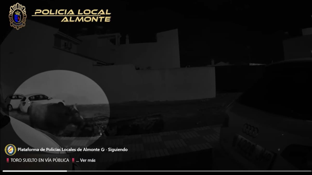 Un toro suelto por las calles de Almonte provoca momentos de tensión, pero todo queda en un susto