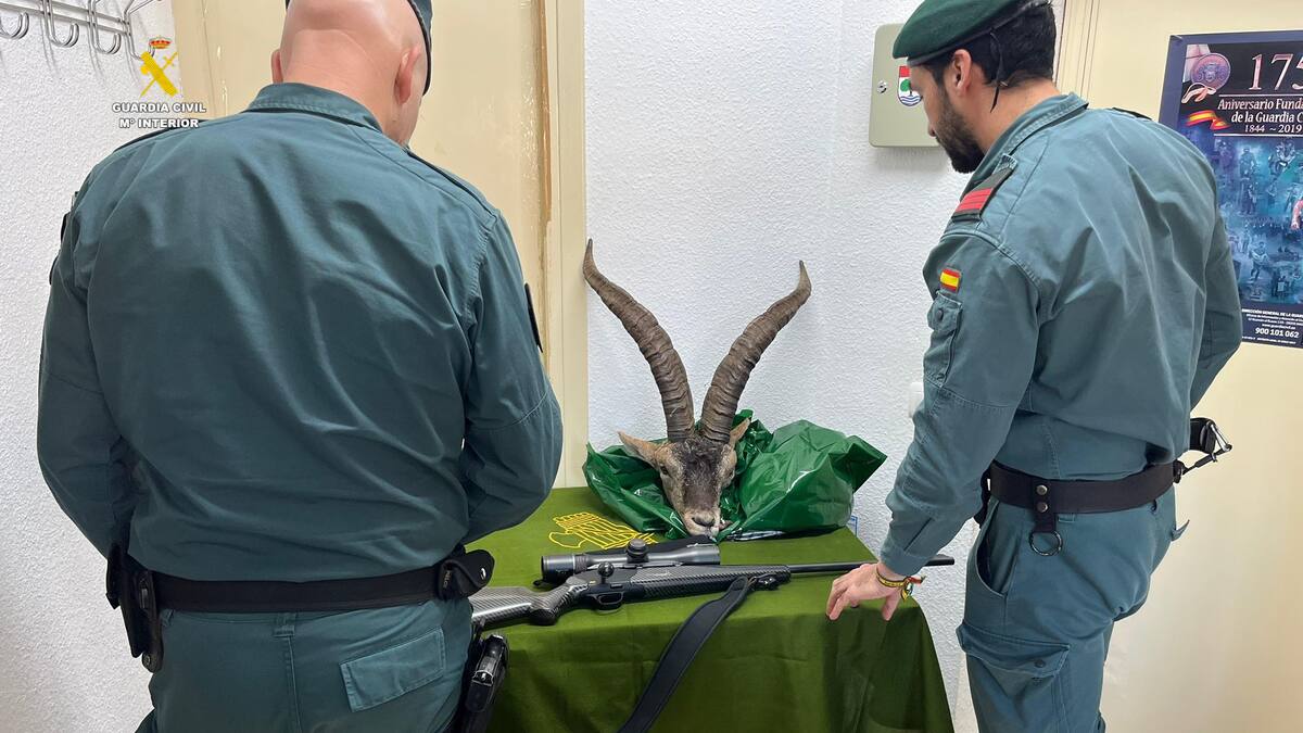 La Guardia Civil investiga a un varón por un presunto delito de maltrato animal por omisión de cuidados en Vall d’Uixó
