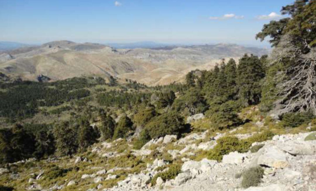 Paraje de la Sierra de las Nieves