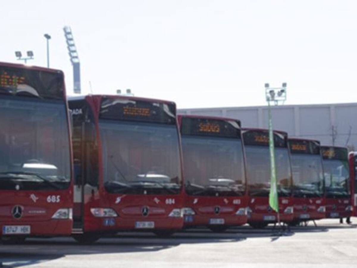 Alicante propondrá gestionar el sistema de bus TAM para la comarca