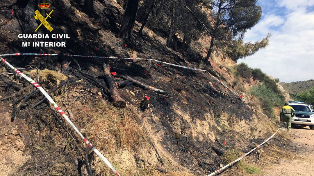 Lugar de inicio del inicio de uno de los incendios