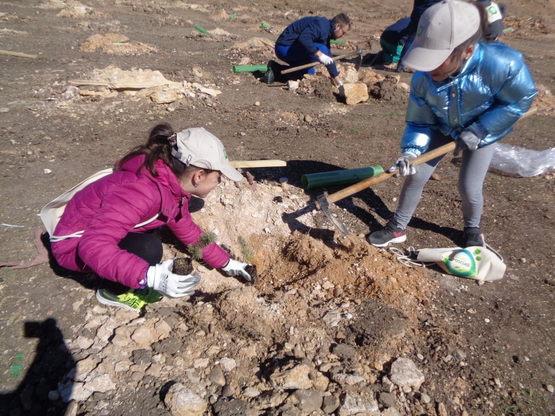 Dos estudiantes se afanan en su tarea de insertar un plantón