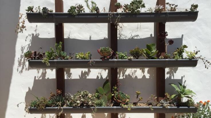 La llavor (07/07/2018)