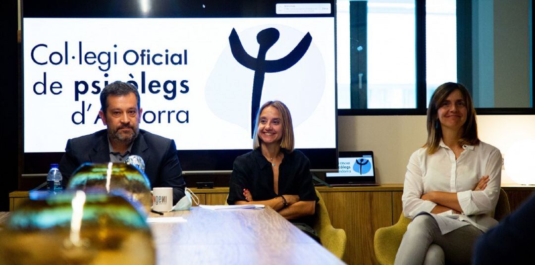 La junta del col·legi de psicòlegs afirma que esperen signar el conveni en els pròxims dies