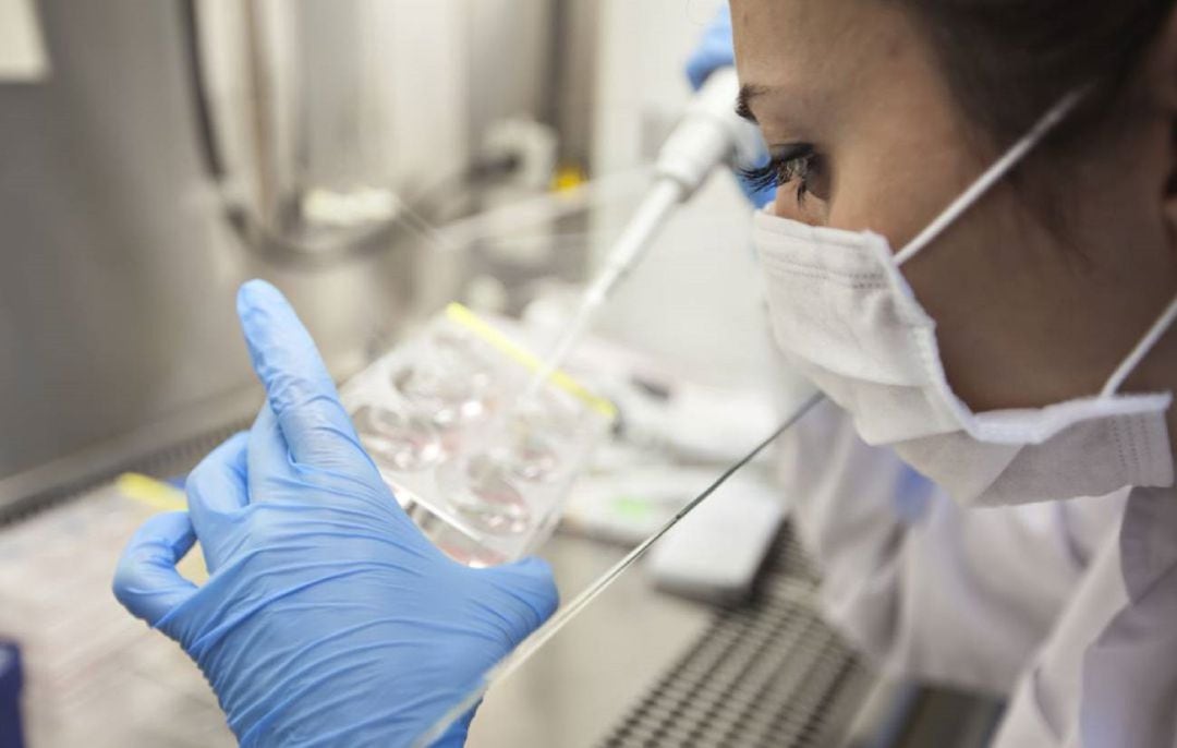 Sigue bajando la tasa de incidencia acumulada de Covid en la provincia de Palencia