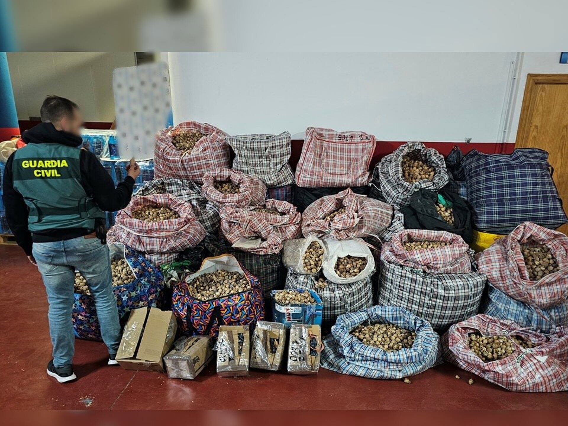 La Guardia Civil ha detenido a tres hombres que hacían envíos postales de cápsulas secas de amapola adormidera a las provincias de Málaga, Ávila y Mallorca, así como a Estados Unidos