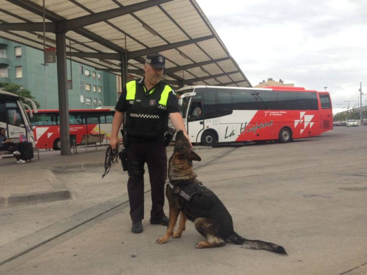 Reportatge Unitat Canina de Girona