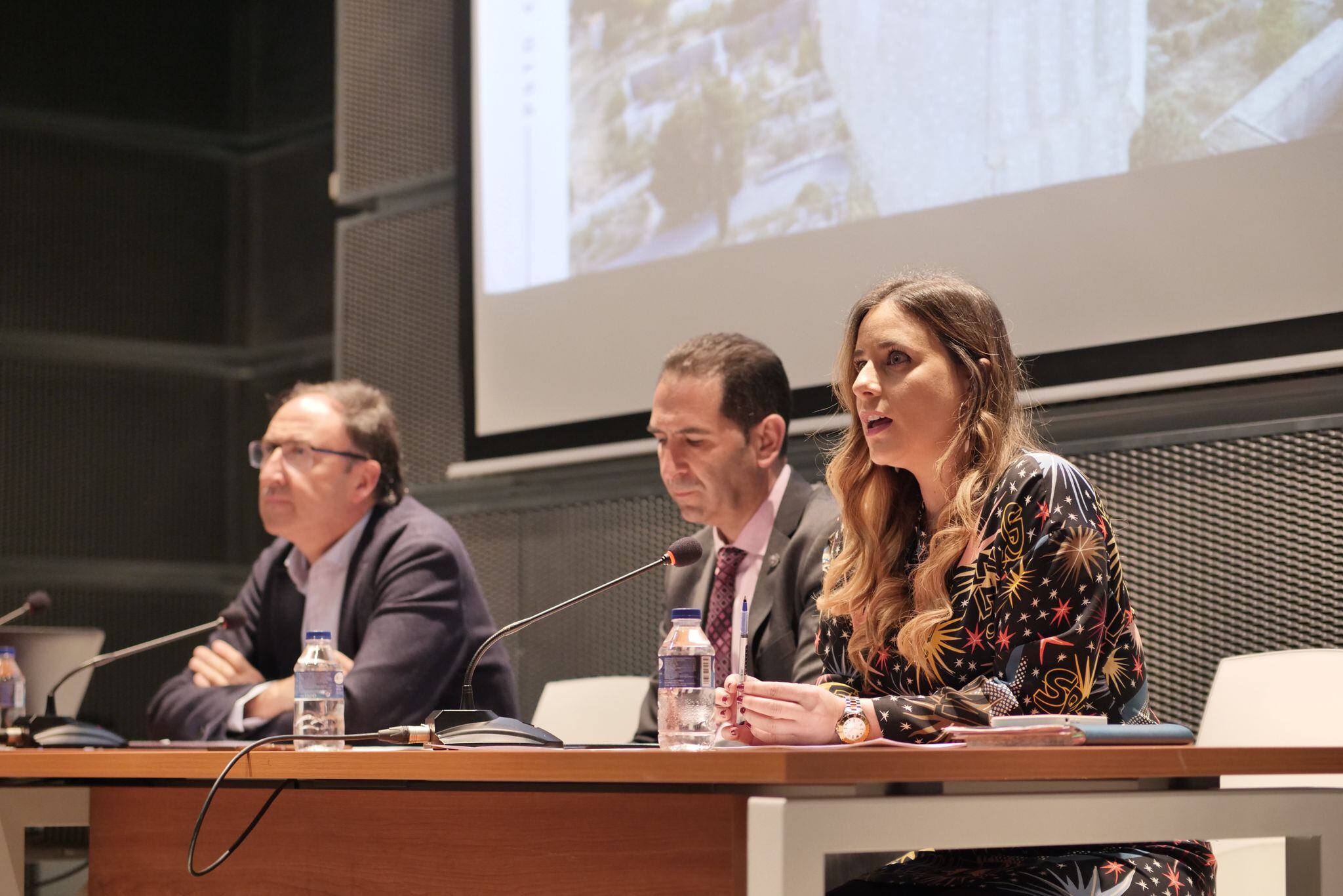 Imagen de la presentación