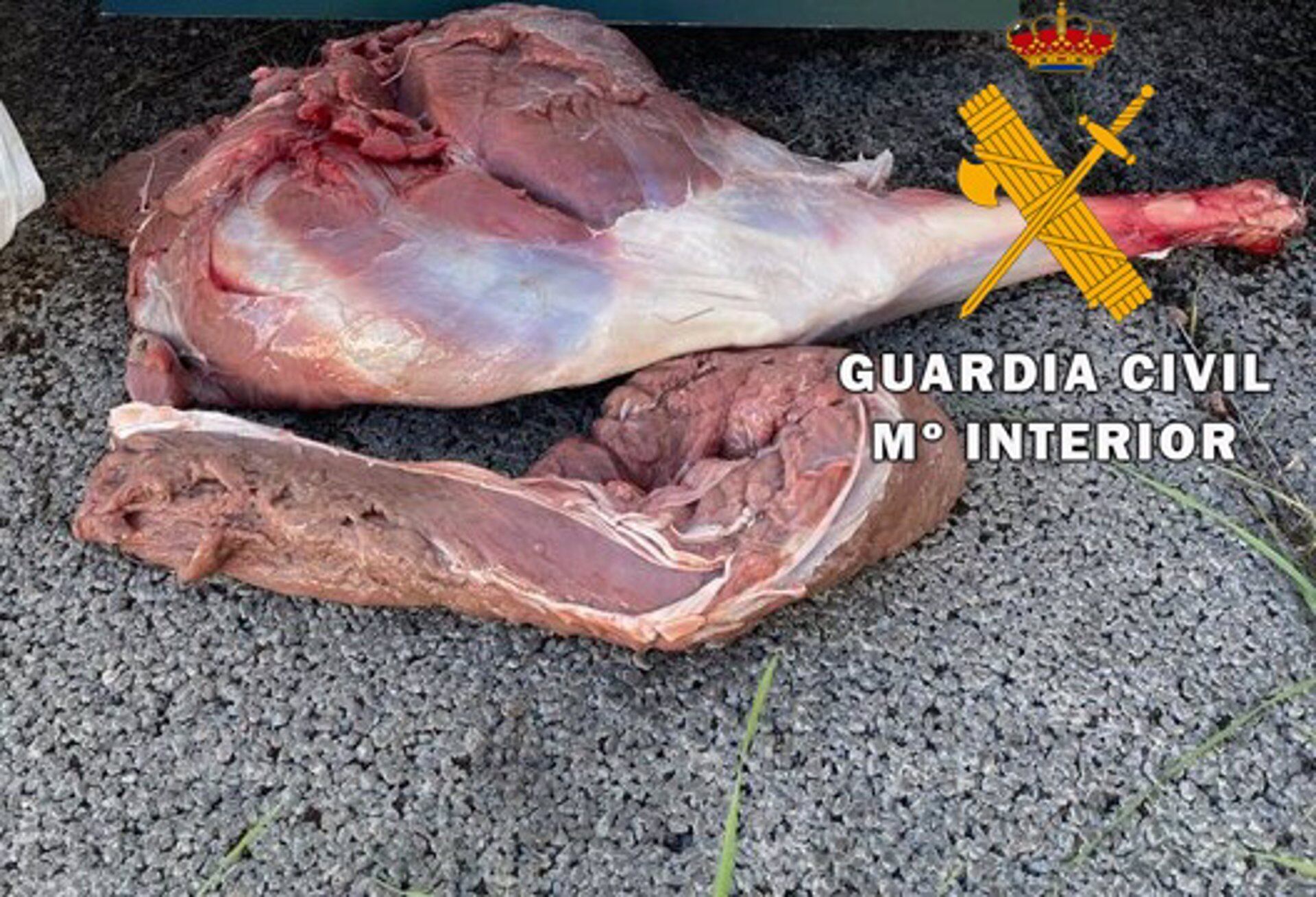 Carne incautada por la Guardia Civil en la provincia de Jaén procedente de caza furtiva